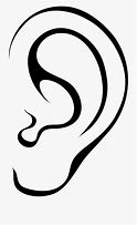 Image result for Human Ear Clip Art