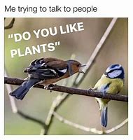 Image result for Plant Memes