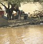 Image result for The Nile in Northern Sudan