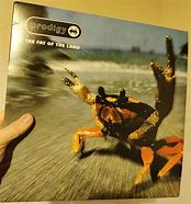 Image result for Prodigy LP