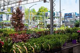 Image result for Lowe's Garden Center N Prov Electric Lawn Mowers