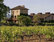 Image result for Teddy Bacino Winery in Napa Valley