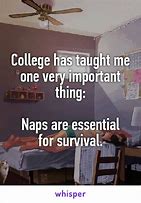 Image result for Funny Quotes About College