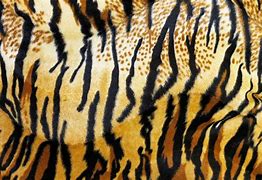 Image result for Tiger Print Wallpaper