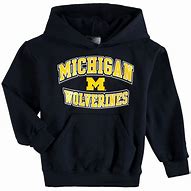 Image result for Navy Michigan Hoodie