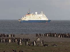 Image result for South Georgia Falkland Islands
