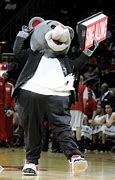 Image result for Rockets Mascot
