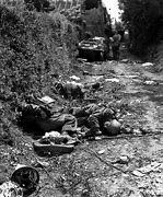 Image result for WW2 Dead