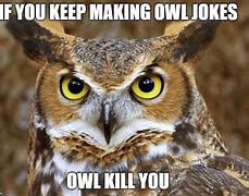 Image result for Funny Owl Puns and Jokes