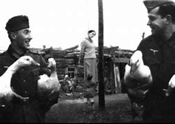 Image result for WW2 Hangings Russia
