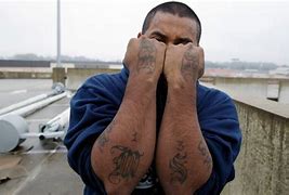 Image result for MS-13 Drugs
