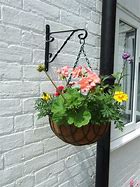Image result for Indoor Plant Hanging Basket