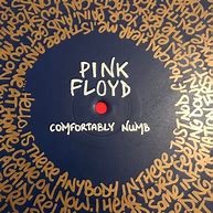 Image result for Comfortably Numb Cover