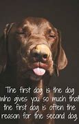 Image result for Quote by Famous Author About Pets