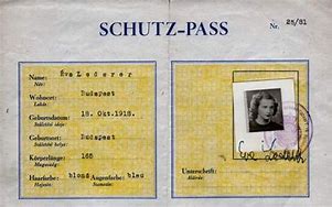 Image result for Wallenberg Schutzpass