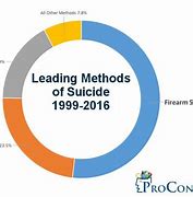 Image result for Suicide Methods