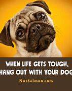 Image result for Funny Living Life Quotes