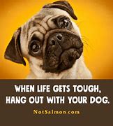 Image result for Cute Funny Quotes About Life