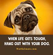 Image result for Life Goes On Funny Quotes