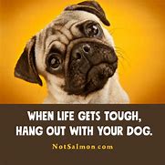 Image result for Really Funny Quotes and Sayings