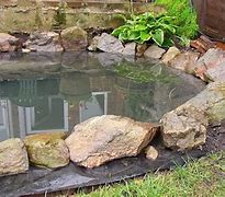Image result for DIY Backyard Fish Pond