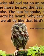 Image result for Wise Owl Quotes Sayings