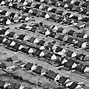 Image result for Post WW2 America