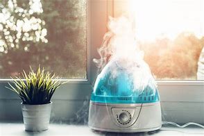 Image result for Ideal Air Humidifier