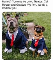 Image result for 2 Dogs Lawyer Meme Bowser