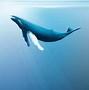 Image result for Humpback Whale Clip Art