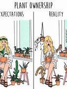 Image result for House Plant Memes