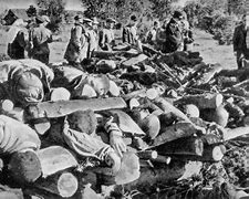 Image result for World War Two War Crimes