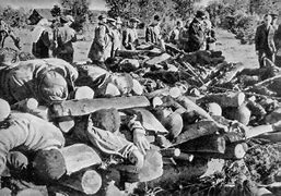 Image result for War Crimes Bodies