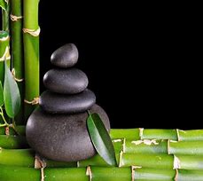 Image result for Bamboo Stacked