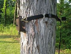 Image result for Hang On Tree Stand Bracket