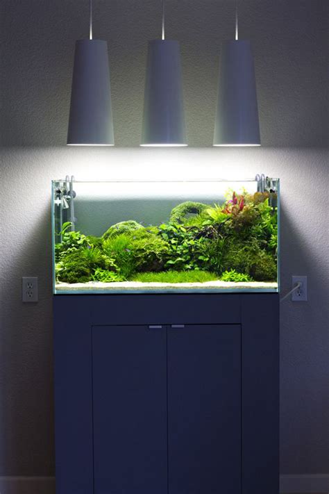 20 Modern Aquariums For Cool Interior Styles   HomeMydesign