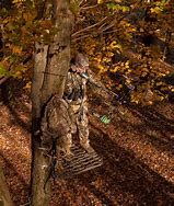 Image result for Best Tree Stand