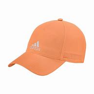 Image result for Adidas Climalite Hoodie