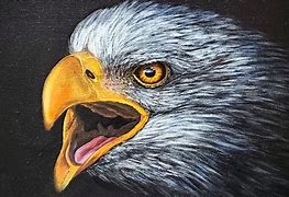 Image result for Eagle Acrylic Paintings