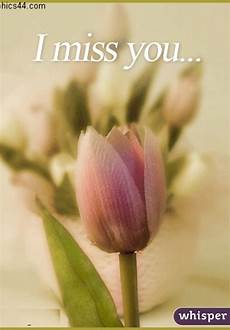 I miss you Miss you I miss you Flower graphic