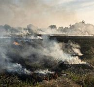 Image result for Myanmar Air Pollution