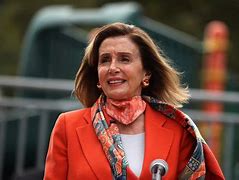 Image result for Pelosi Hair Appointments Cartoons