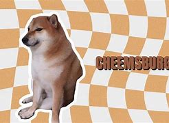 Image result for Cheems Avatar