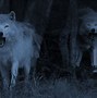 Image result for A Wolf Background
