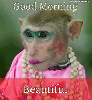 Image result for Funny Cartoon Faces Good Morning