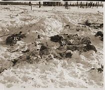 Image result for American Prisioners Exequted Malmedy Massacre