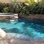 Image result for Free Form Swimming Pool and Spa