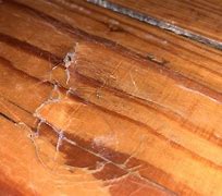 Image result for Repair Wood Dent