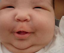 Image result for Funny Fat Person