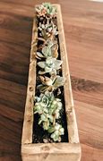Image result for Succulent Planter Box